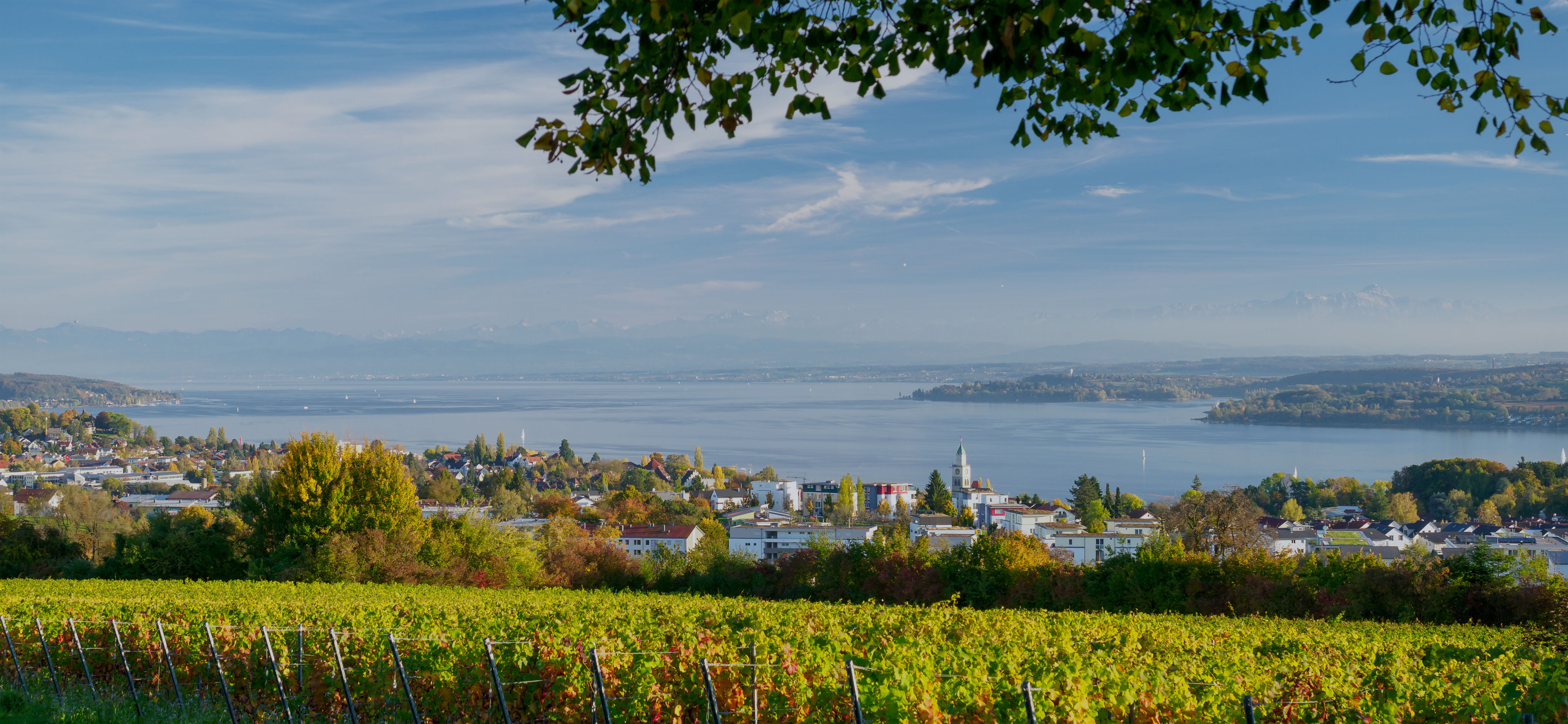 Bodensee Versicherung